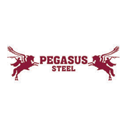 logo-pegasus-steel